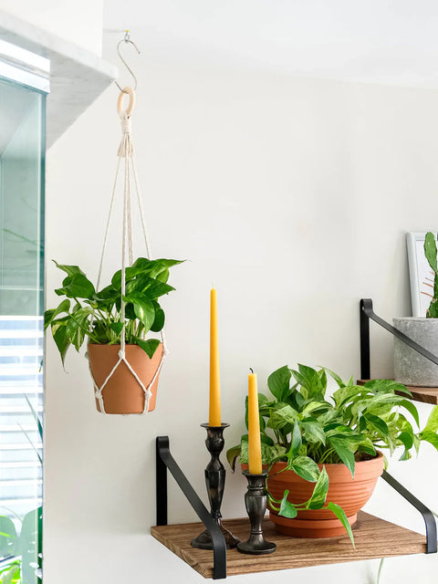 Macrame Plant Hanger For Home Decor