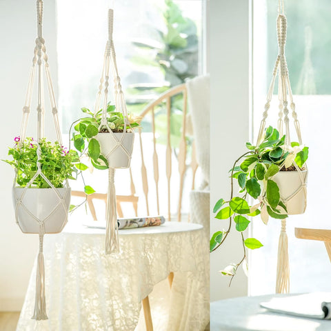 Macrame Plant Hanger