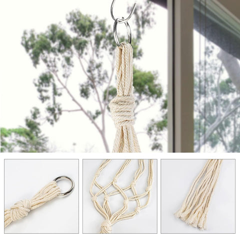 Macrame Plant Hanger For wall Hanging