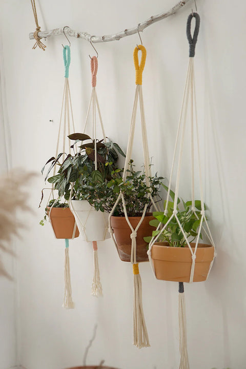 Macrame Plant Hanger For Wall Decor