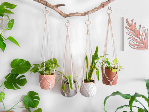 Macrame Plant Hanger For wall hanging Home Decor