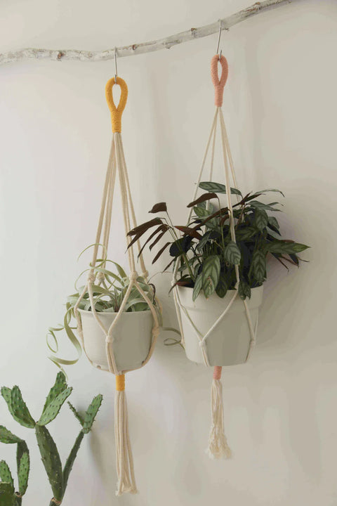 Macrame Plant Hanger For Wall Decor