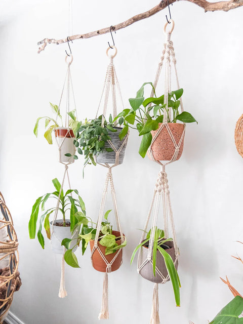 Macrame Plant Hanger For Wall Decor