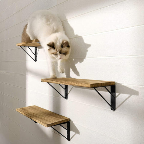 Wooden Wall Shelves for Wall Storage