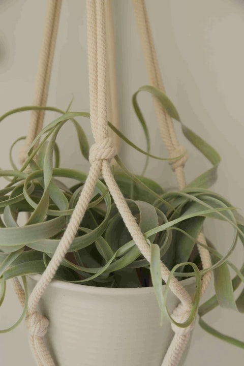 Macrame Plant Hanger For Wall Decor