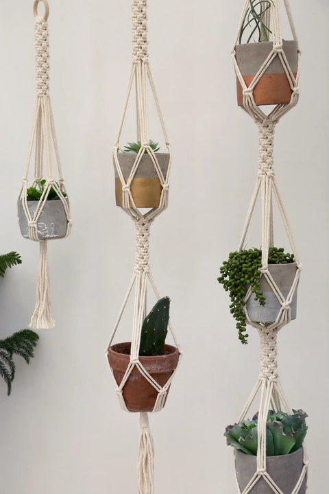 Indoor Macrame Plant Hanger For decor