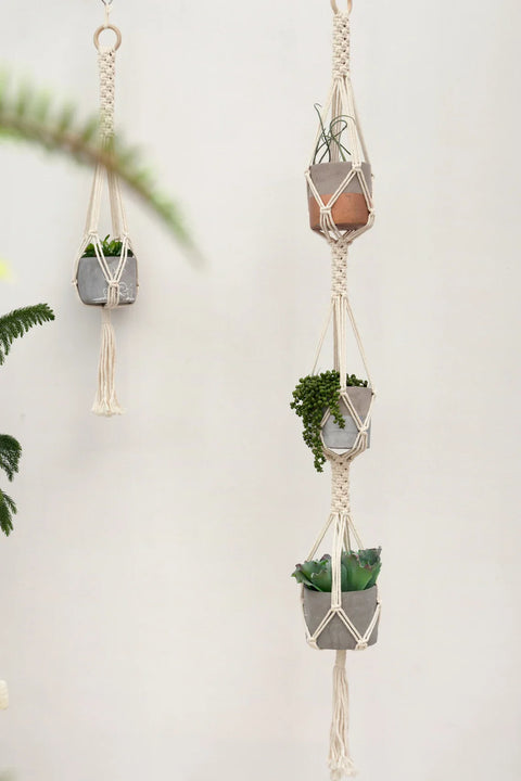 Indoor Macrame Plant Hanger For decor