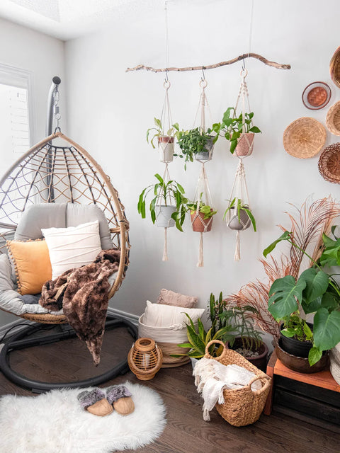 Macrame Plant Hanger For Wall Decor