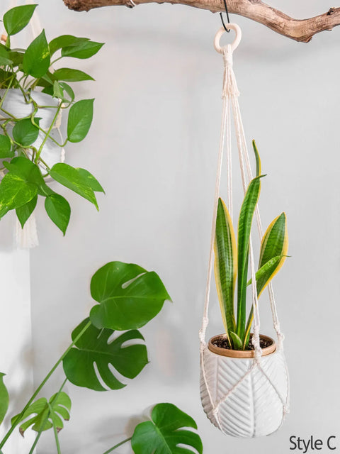 Macrame Plant Hanger For wall hanging Home Decor