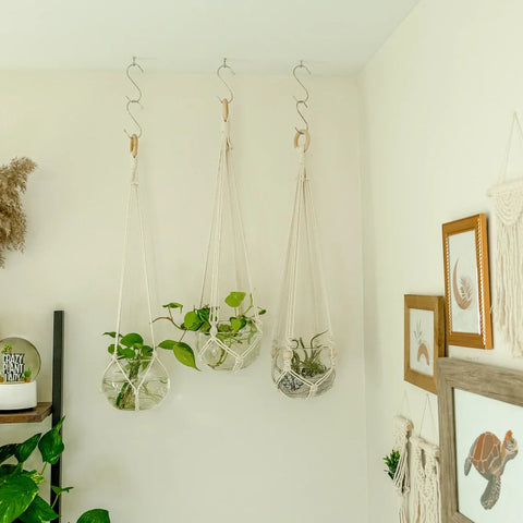 Macrame Plant Hanger