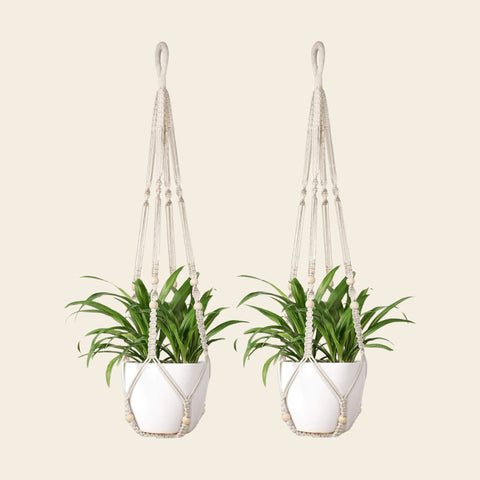 Plant Hangers