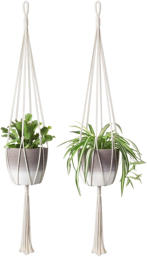 Macrame Plant Hanger For Wall Hanging