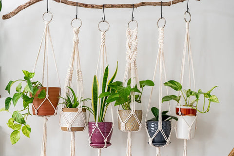 Macrame Plant Hanger For Home Decor