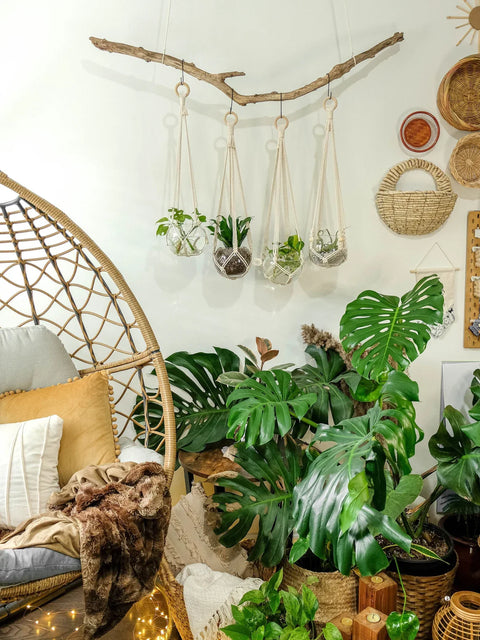 Macrame Plant Hanger