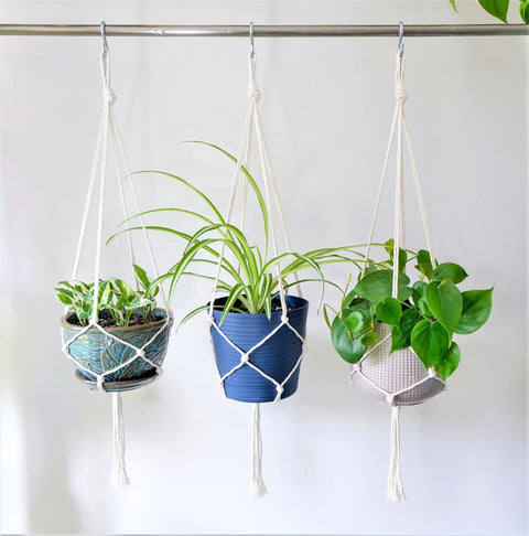 Indoor Macrame Plant Hanger For Wall Decor