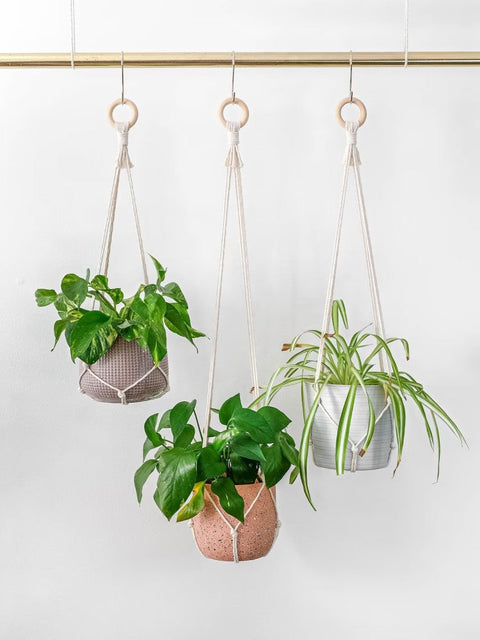 Macrame Plant Hanger For Home Decor