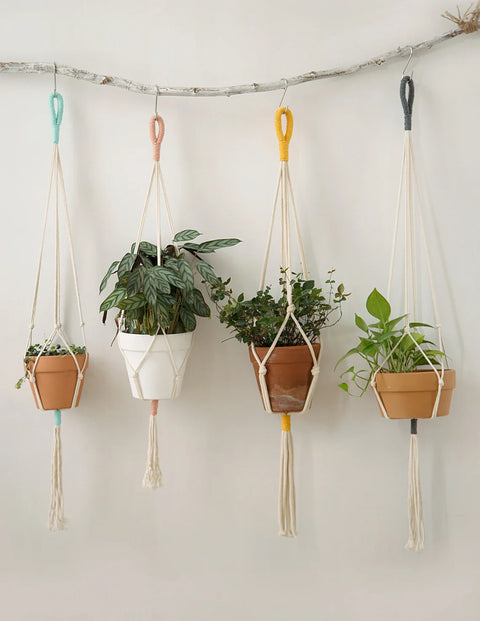 Macrame Plant Hanger For Wall Decor