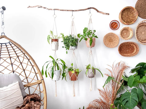 Macrame Plant Hanger For Wall Decor