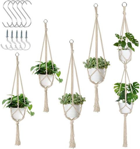 Macrame Plant Hanger For wall Hanging