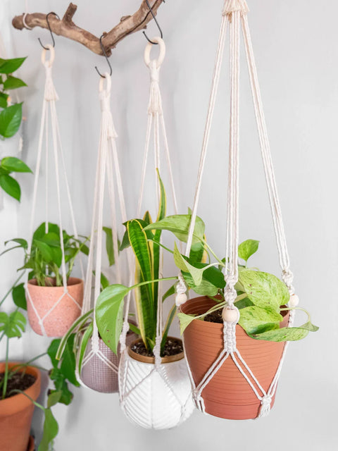 Macrame Plant Hanger For wall hanging Home Decor