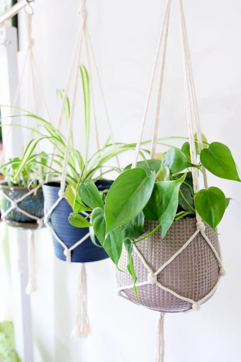 Indoor Macrame Plant Hanger For Wall Decor