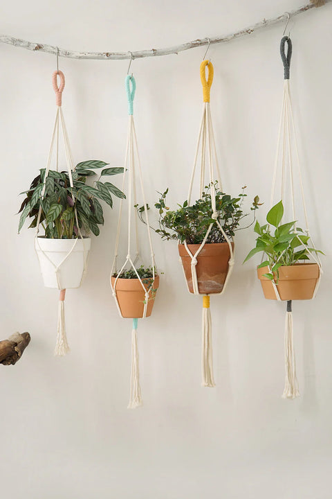 Macrame Plant Hanger For Wall Decor