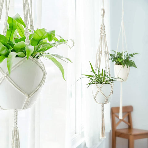 Macrame Plant Hanger