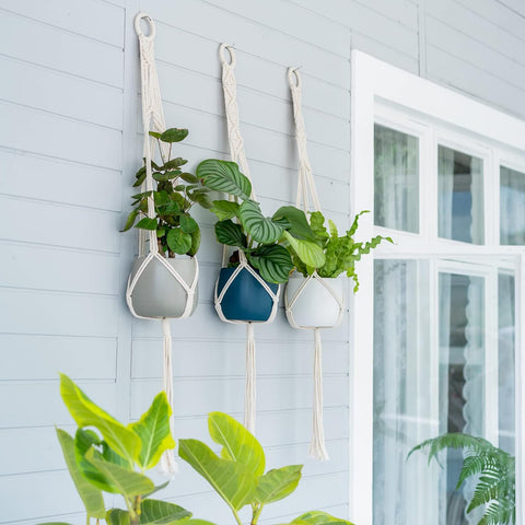 Macrame Plant Hanger For wall Hanging Home Decor