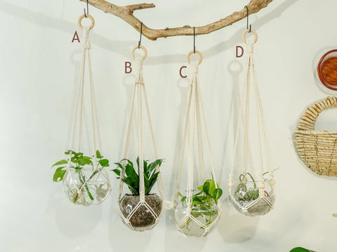 Macrame Plant Hanger