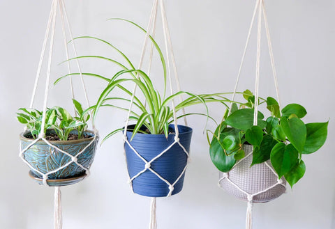 Indoor Macrame Plant Hanger For Wall Decor