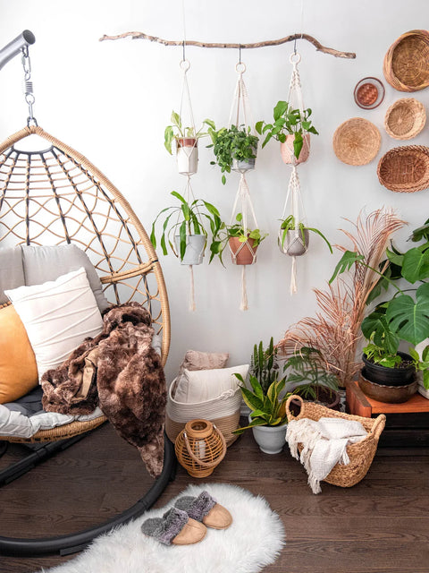 Macrame Plant Hanger For Wall Decor