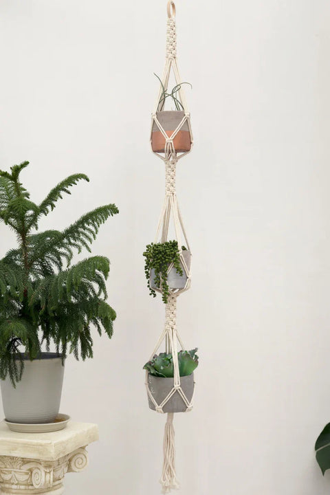 Indoor Macrame Plant Hanger For decor