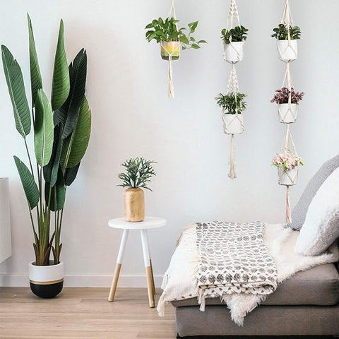 Macrame Wall Hanging Plant Hanger For Home Decor