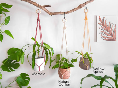 Macrame Plant Hanger For Home Decor