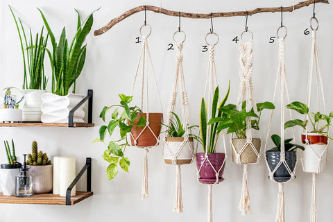 Macrame Plant Hanger For Home Decor