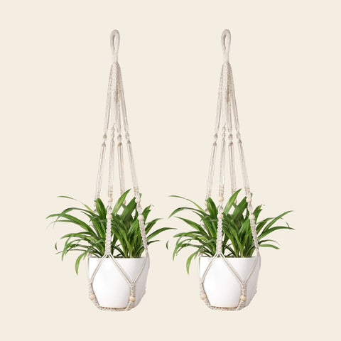 Plant Hanger