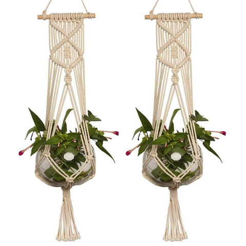 Macrame Plant Hanger For Wall Art & Home Decor